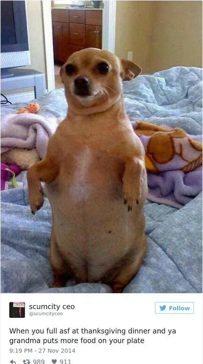 30 Festive Thanksgiving Memes That Are So Relatable