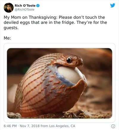30 Festive Thanksgiving Memes That Are So Relatable
