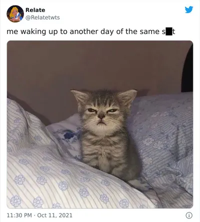 30 Truly Funny Memes That Are Extremely Relatable 