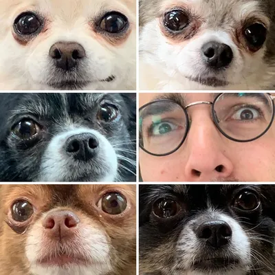 30 Absolutely Funny Memes To Send To Your Sibling 