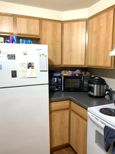 30 Extreme Examples Of Why Cats Are Ninjas