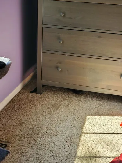 30 Extreme Examples Of Why Cats Are Ninjas