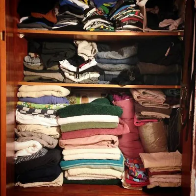 30 Extreme Examples Of Why Cats Are Ninjas