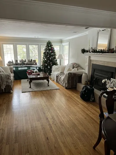 30 Extreme Examples Of Why Cats Are Ninjas