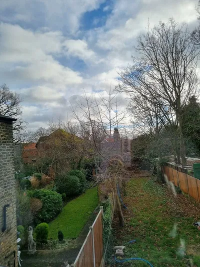 30 Extreme Examples Of Why Cats Are Ninjas