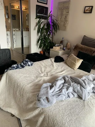 30 Extreme Examples Of Why Cats Are Ninjas