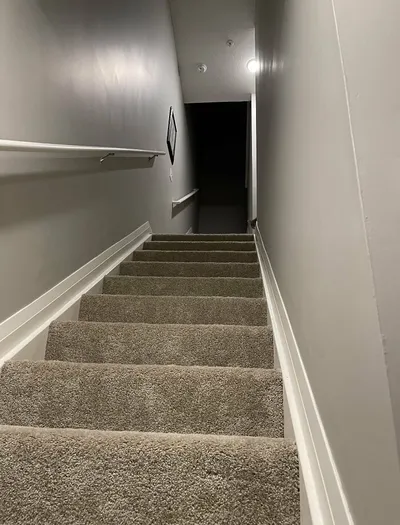 30 Extreme Examples Of Why Cats Are Ninjas