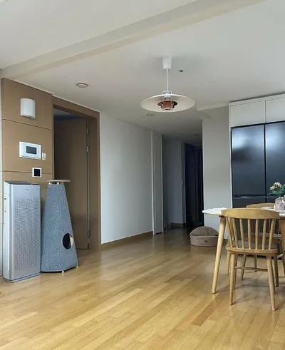 30 Extreme Examples Of Why Cats Are Ninjas