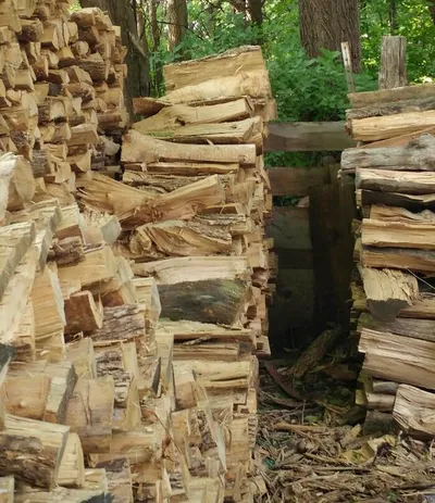 30 Extreme Examples Of Why Cats Are Ninjas