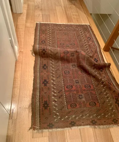 30 Extreme Examples Of Why Cats Are Ninjas