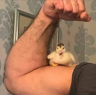 30 Spectacularly Weird Pictures That Will Definitely Confuse You