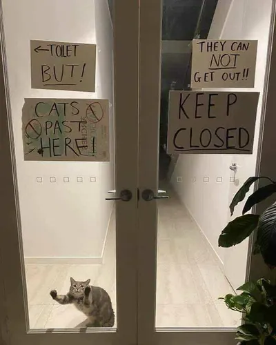 30 Spectacularly Weird Pictures That Will Definitely Confuse You