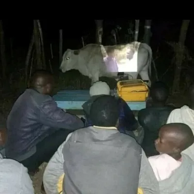 30 Spectacularly Weird Pictures That Will Definitely Confuse You