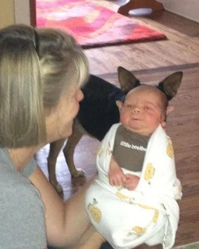 30 Spectacularly Weird Pictures That Will Definitely Confuse You