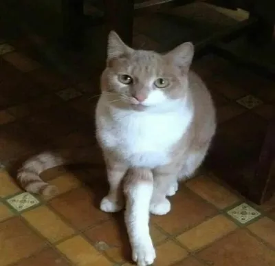 30 Spectacularly Weird Pictures That Will Definitely Confuse You