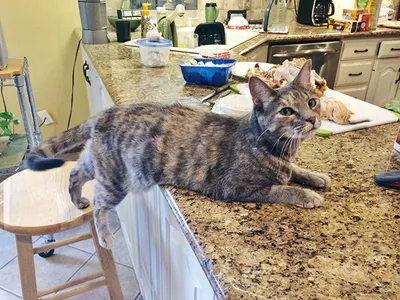 30 Genius Ways People Beat The System And Found Epic Loopholes 