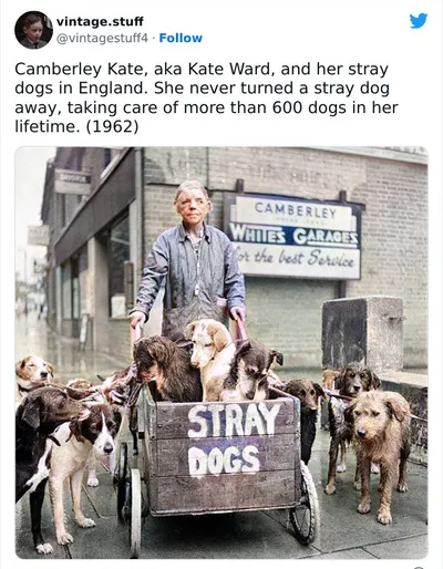 30 Stunning And Historic Colorized Photos You Must See 