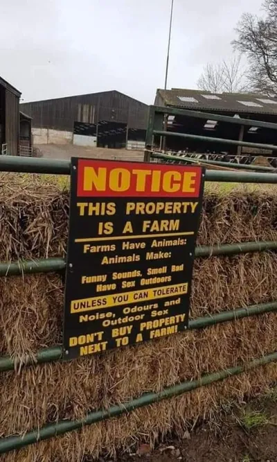 50 6389D2854B81E 700