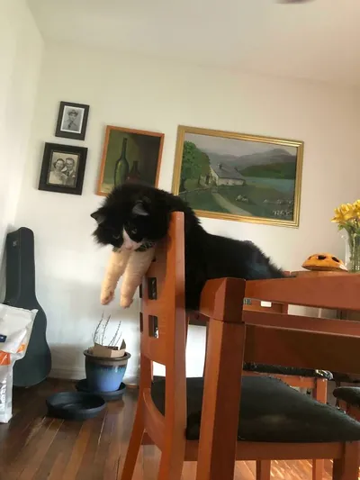 63725943069Dd N6B7Y21Ar8K91 700