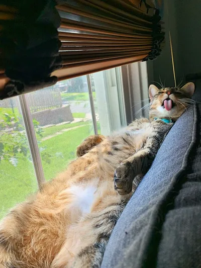 63725B62Cd6E9 Tpf85Ko4Oho91 700