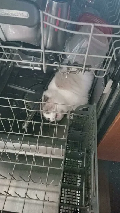 63725Bda5Da17 08Wh2Je457Y91 700