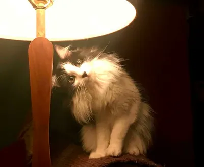 63725E3A6Efae 2Yf4Eyc6Yao91 700