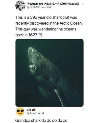 602D38A5E1Ad5 Jxlwn9I 700