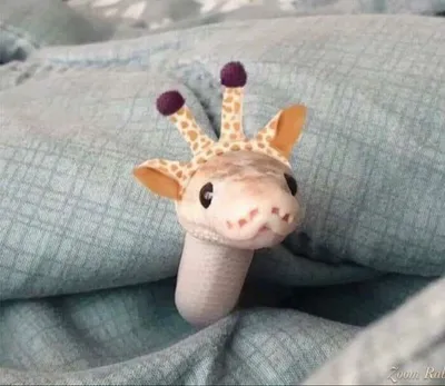 30 Hilariously Goofy Animals To Brighten Up Your Day