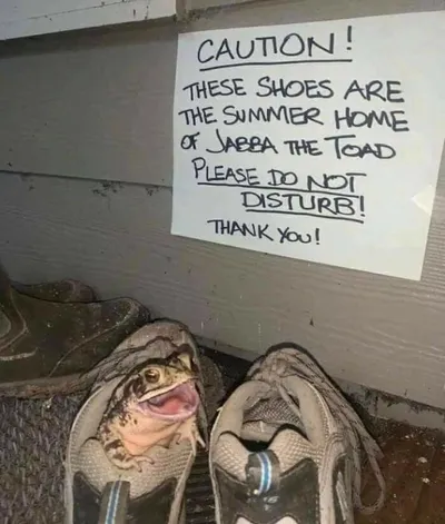 60798Ecb51B10 B4G9Tyo 700