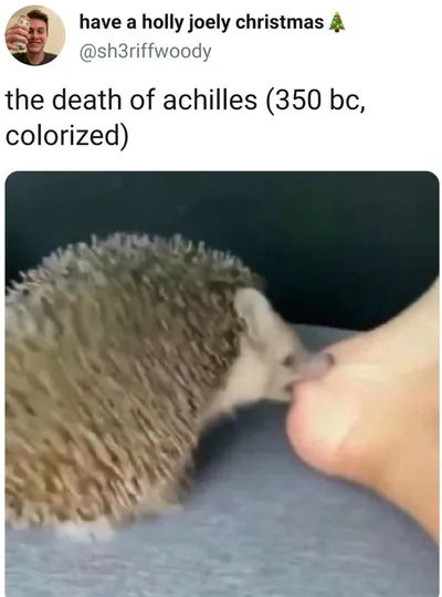 Funny Animals Pictures 11 602D3B028396D 700