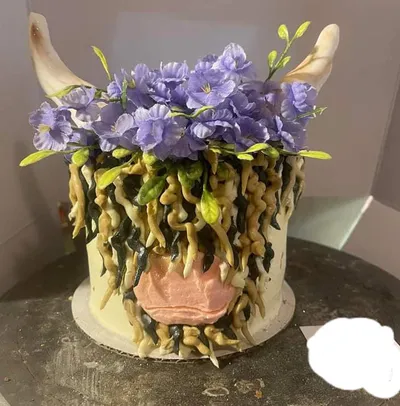 Funny Cake Shaming 63D3Aee0E1A8E 700