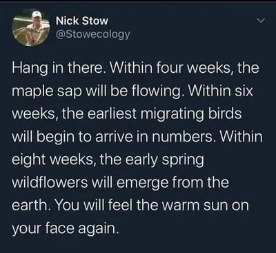 30 Painfully Relatable And Funny Memes About Mental Health