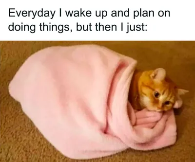 Mentally Not So Well Memes 45465 63Dbd4B8888Ff 700