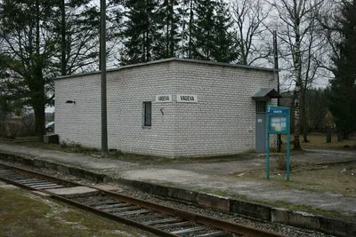 6409A9E4Bfe66 Cygajd1 700