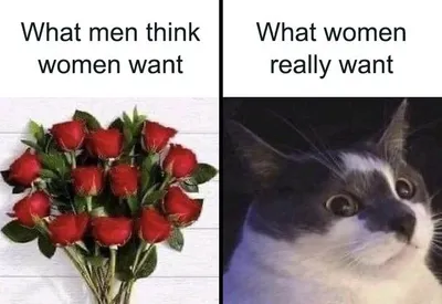 0B 642694882A735 700