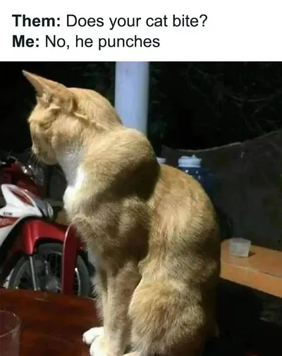 0B 6426A2C9F3615 700