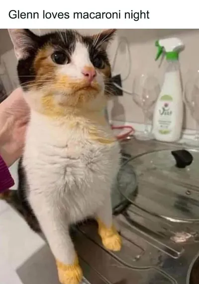 0D 6426C10Cced35 700