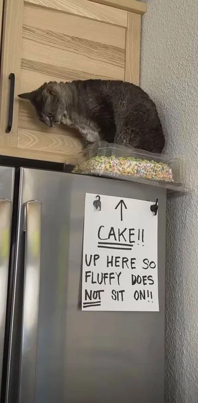 55 642687Fc433Ef 700