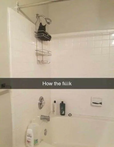 6426D03032Ef2 2Kz9Lkkga5R61 Censored 700