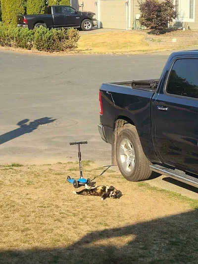 6426D03785Ad4 5Sf7Essoqws91 Censored 700