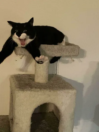 6426D07Ce47E6 6Bjnru5Vcuu61 700