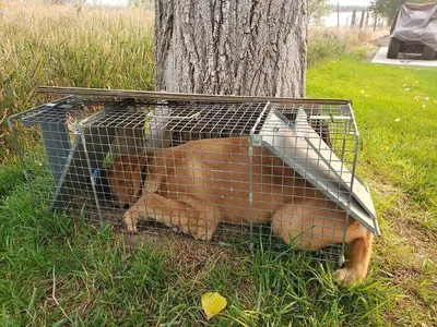 6426D0E2C4016 H3Qnnu0 700