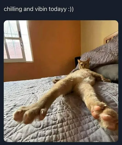 30 Funny Yet Uncomfortable Memes To Make You Laugh