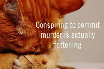 I Made 30 Funny Quotes Using A Quote Generator 63E59748954A7 700