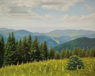 30 Hilarious Epic Wins You Must See 