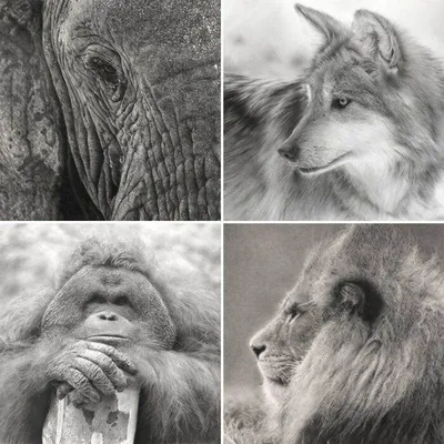 64802F0Ab7720 L583Vsqvpzza1 700