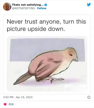 1647253983126343690 Png 700