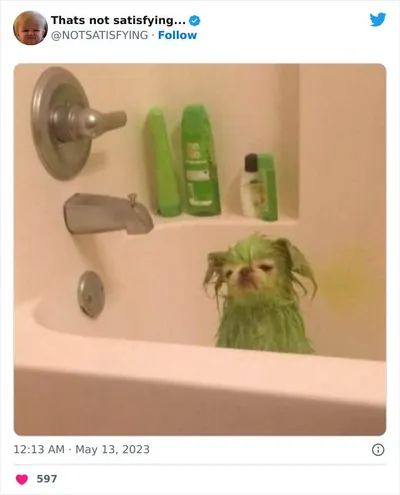 1657177236577869824 Png 700