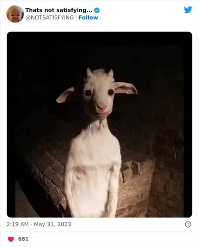 1663731987624996870 Png 700