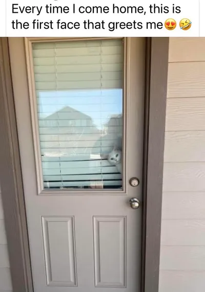 353019749 6990640034284209 3789283313753473800 N 64A3E0Ed2B783 700